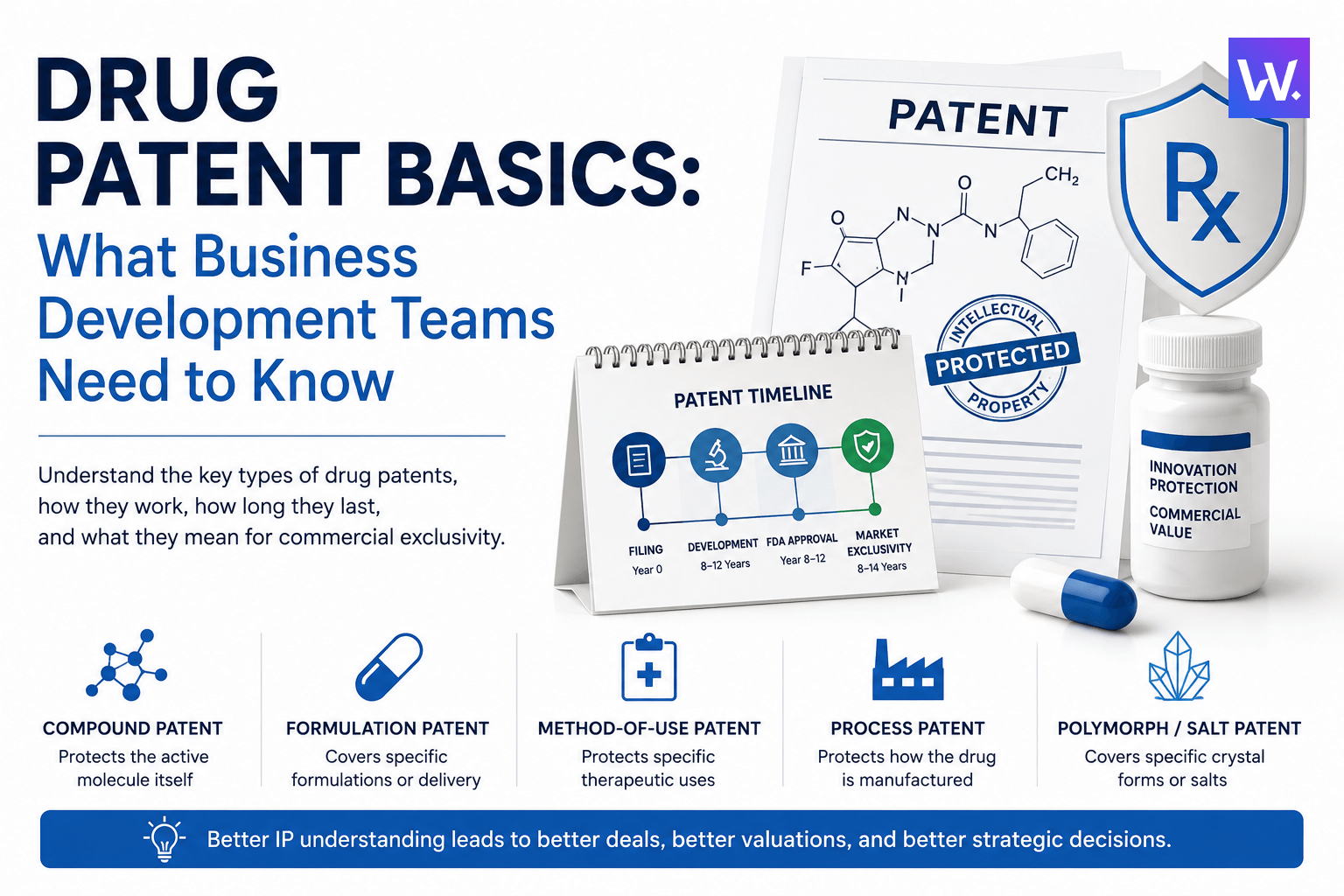 Drug Patent Basics: What Every BD and Strategy Professional Needs to Know